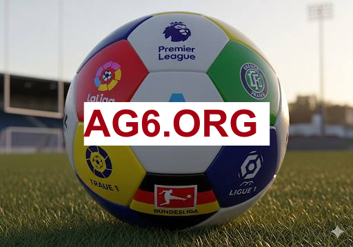 亚星代理教育平台展示